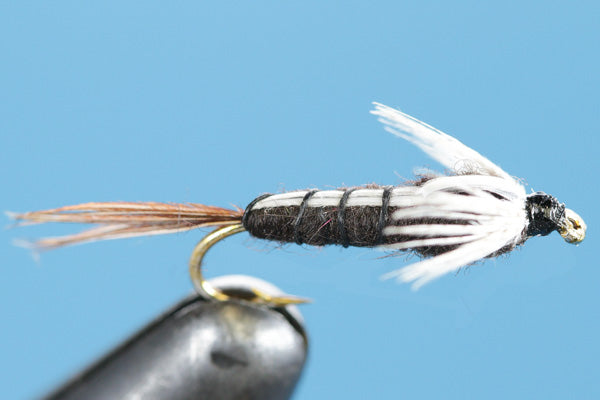 Isonychia Drake Nymph