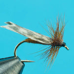 King River Caddis