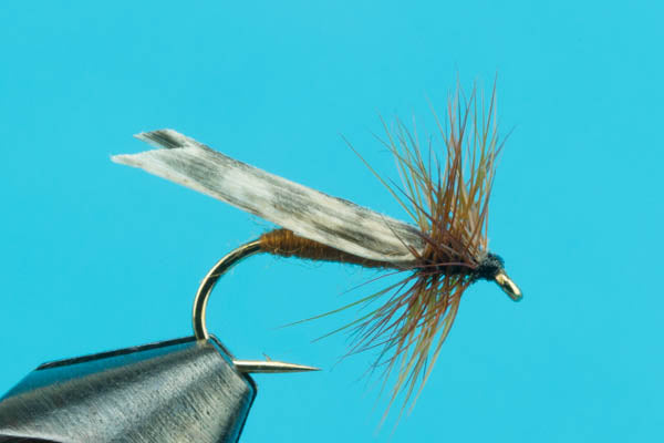 King River Caddis