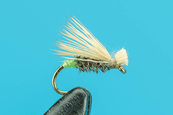 Egg Laying Caddis - Dry Fly