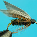 Leadwing Coachman