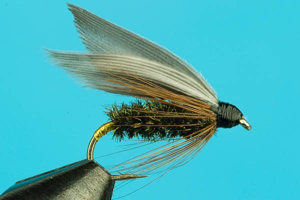 Leadwing Coachman