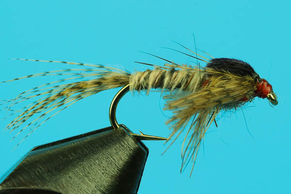 Light Quill Sulphur