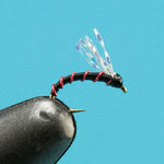 Montana Midge