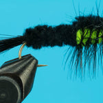 Montana Stonefly