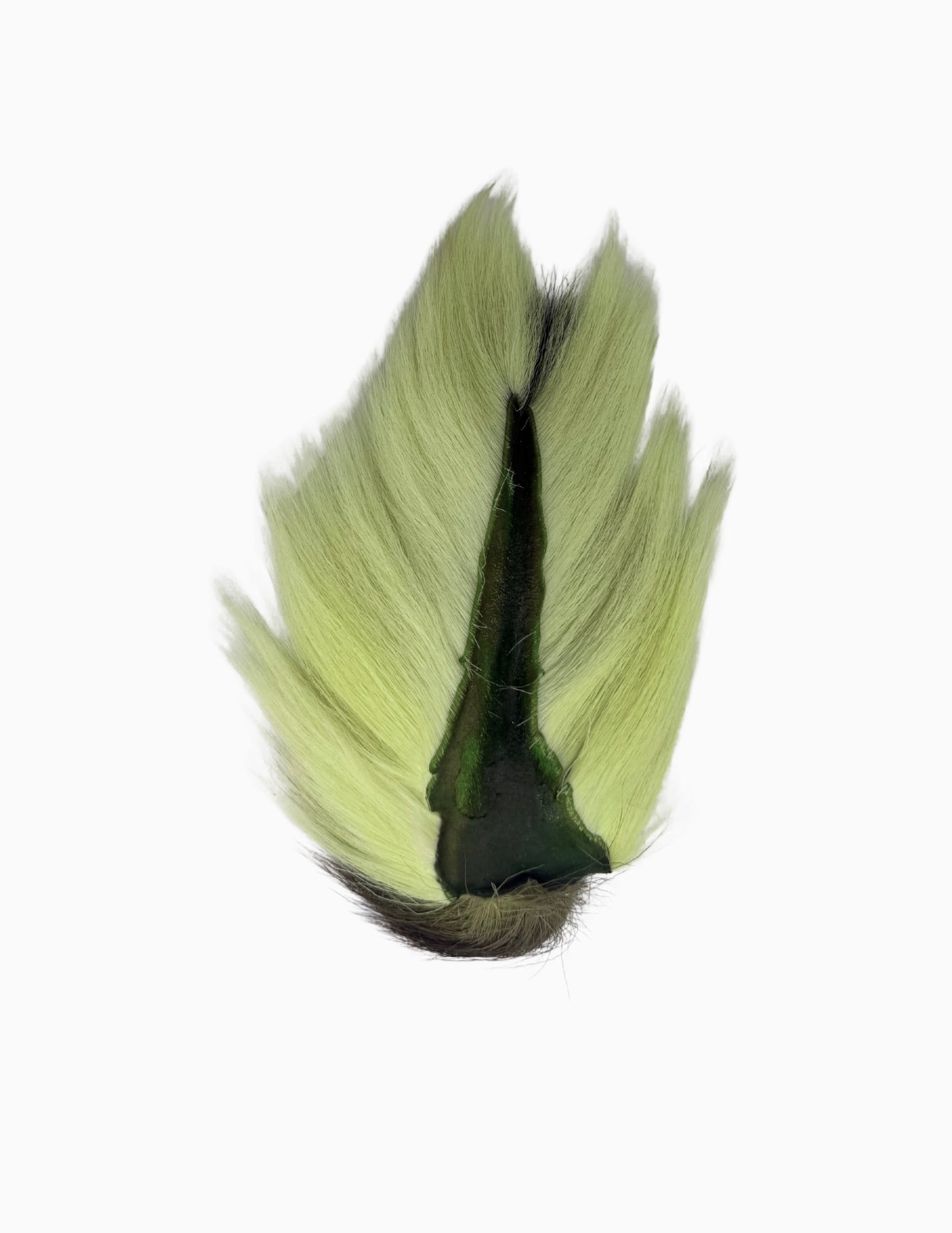 Appalachian Bucktail - AA