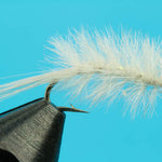 Mysis Shrimp