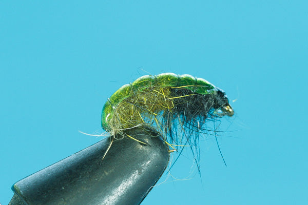 Natural Caddis