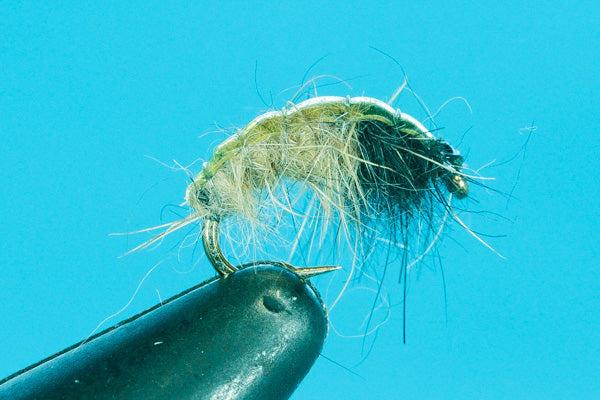 Natural Caddis