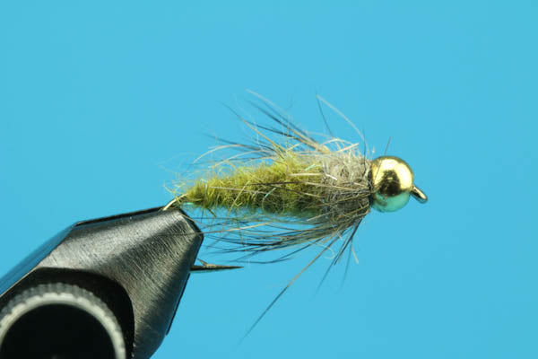 Olive Caddis-Beadhead