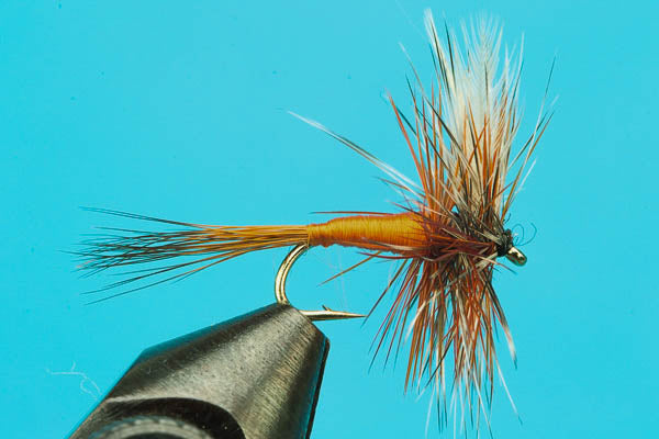 Orange Snipe