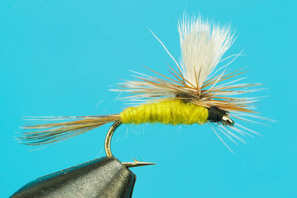 Parachute Adams Yellow
