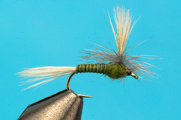 Parachute BWO Quill Body  - Mayfly Dry Fly