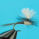 Parachute Light Hendrickson