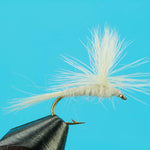 Parachute Light Cahill