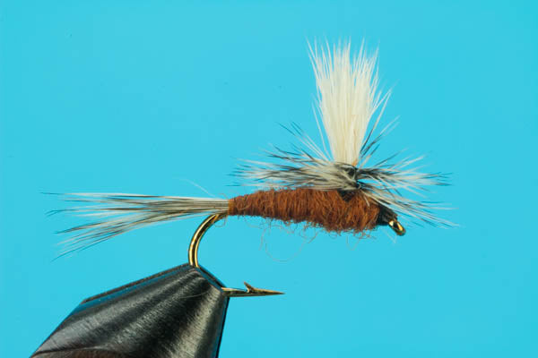 Parachute Mahogany