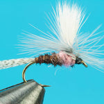 Parachute Pink Albert