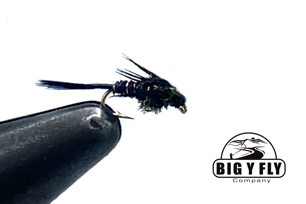 Pheasant Tail