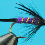 Purple & Black Prince