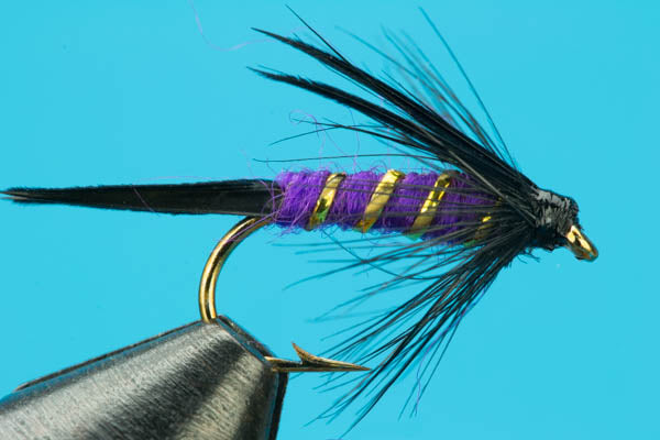 Purple & Black Prince