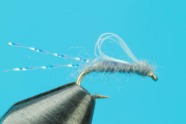 RS 2 Sparkle Wing