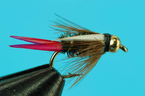 Red-Tail Prince-Beadhead