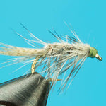 Rickards Callibaetis
