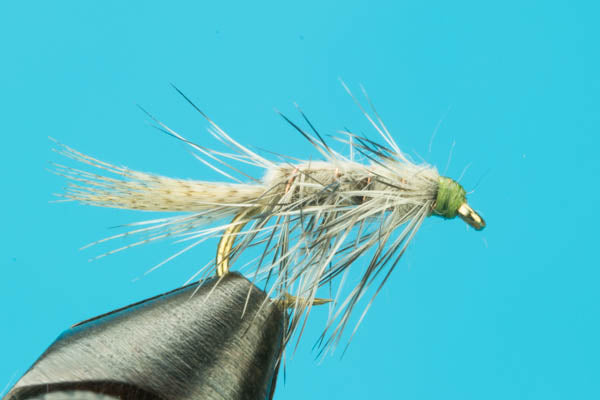 Rickards Callibaetis
