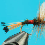 Royal Coachman Dry Fly