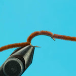 San Juan Worm