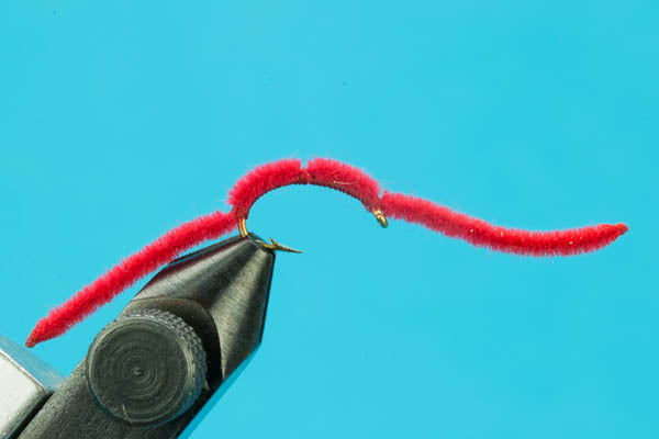 San Juan Worm
