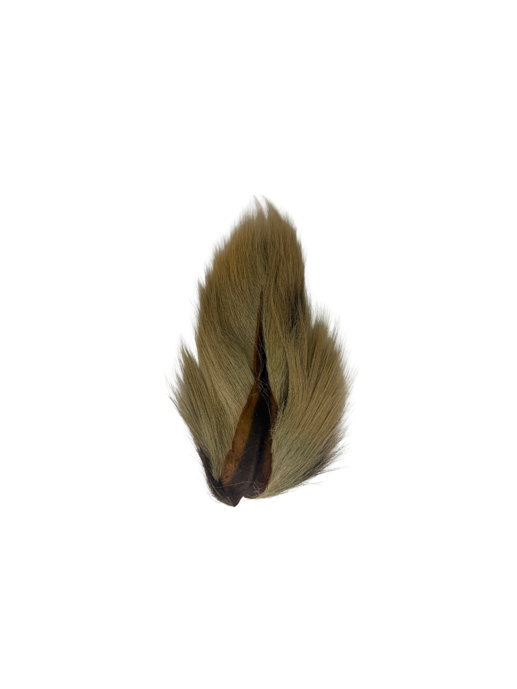 Appalachian Bucktail - AA