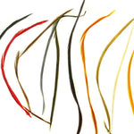 Hareline Stripped Goose Biot Combo