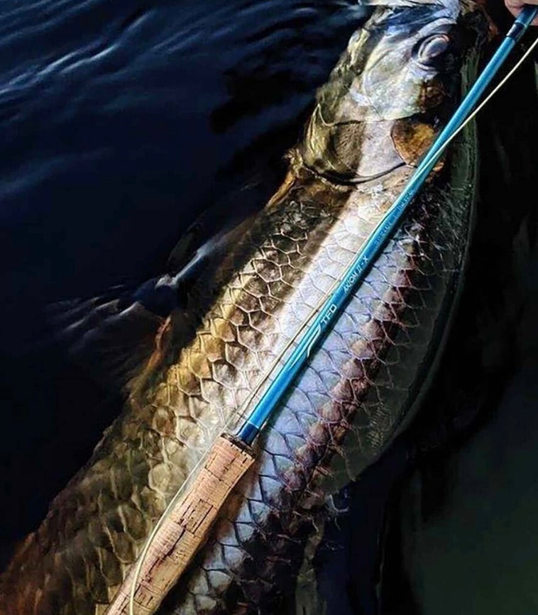 TFO Axiom 2-X Rod