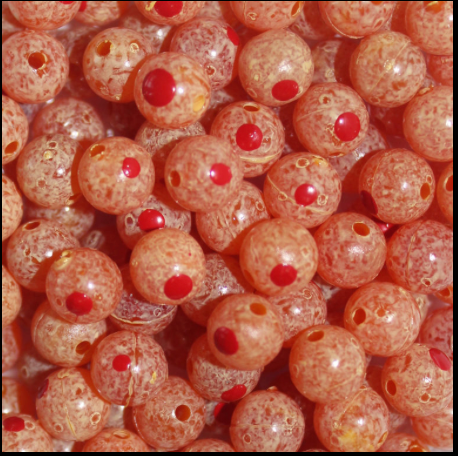 Trout Beads Blood Dots