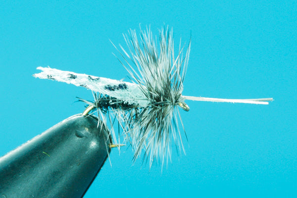 Sedge Lime - Dry Fly