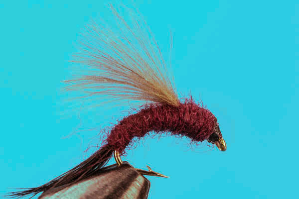 Slate Drake Emerger CDC