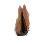 Appalachian Bucktail - AA