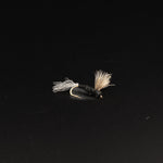 Sparkle Dun – Trico (Male)