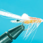 Spay Shrimp