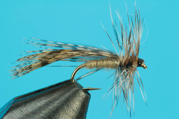 Spent Wing Caddis