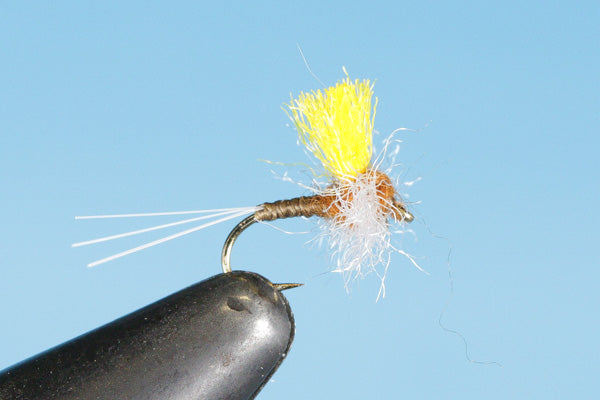 Spinner Hi-Vis Rusty Biot  - Mayfly Dry Fly