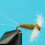 Spinner Callibaetis