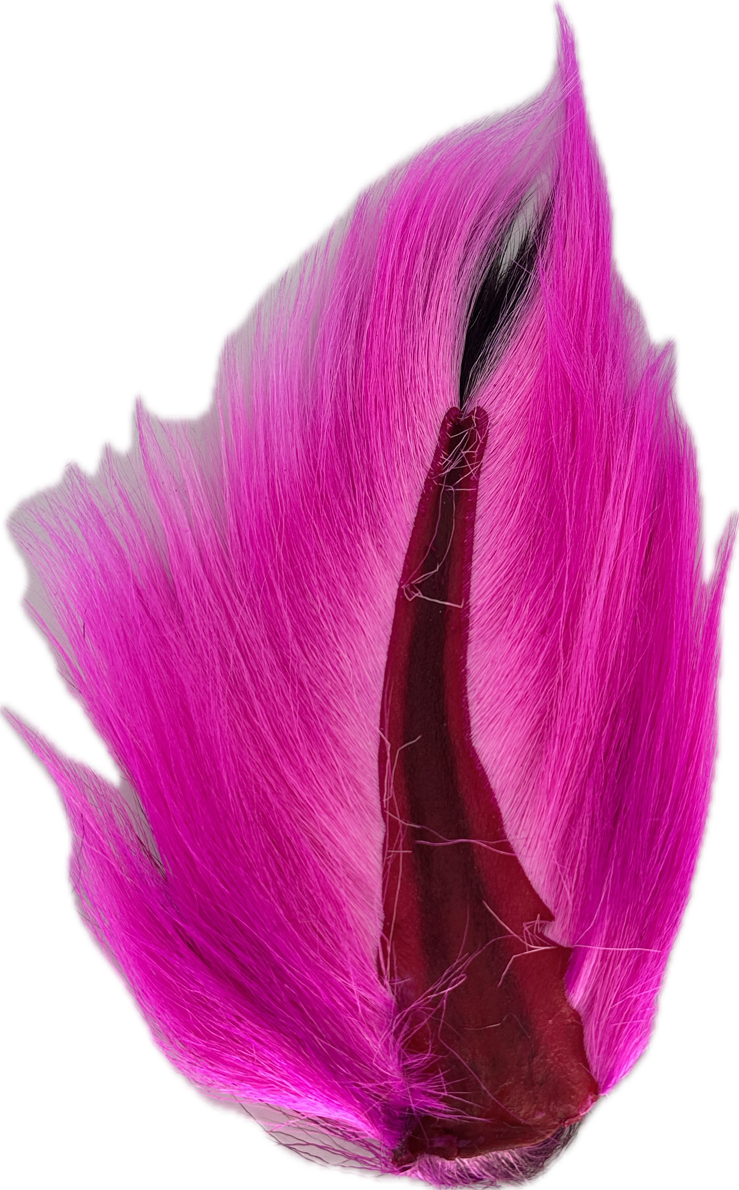Appalachian Bucktail - AA