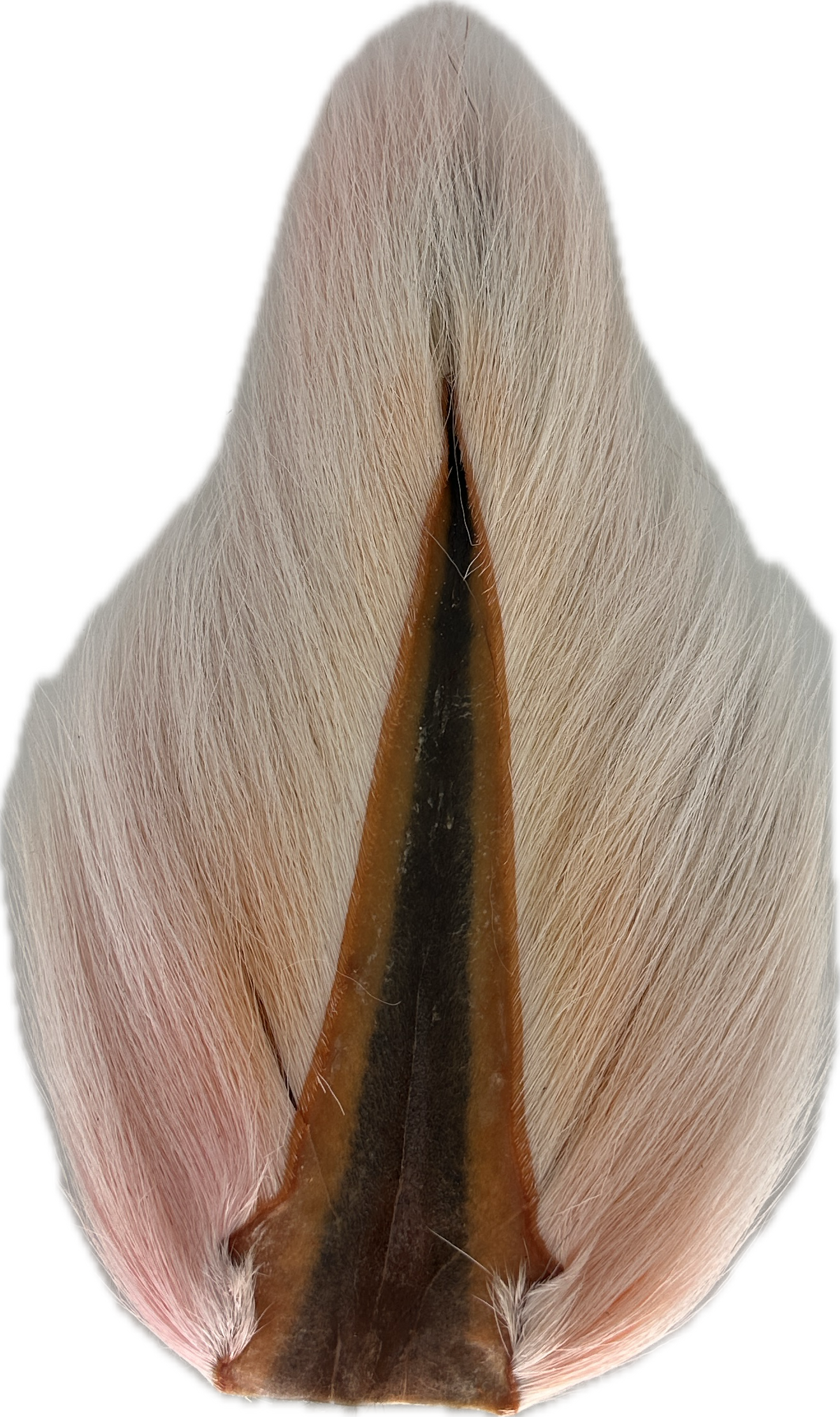 Appalachian Bucktail - AA