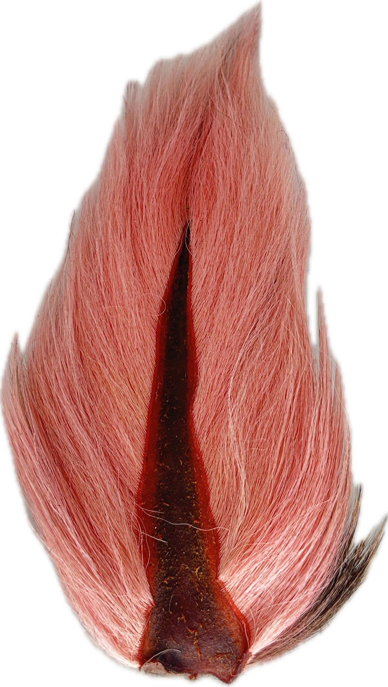 Appalachian Bucktail - AA