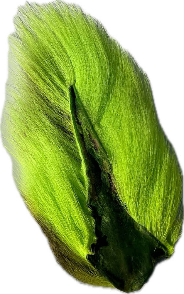 Appalachian Bucktail - AA