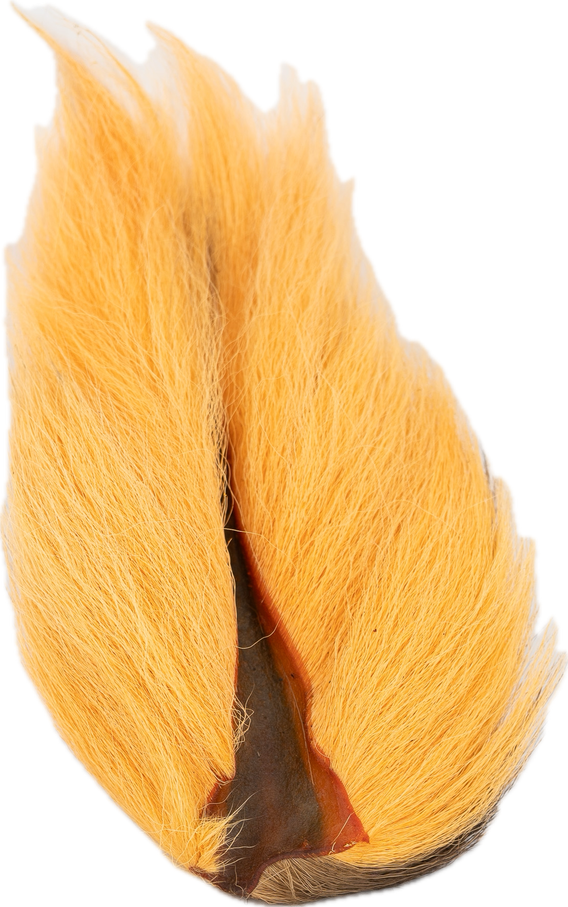 Appalachian Bucktail - AA