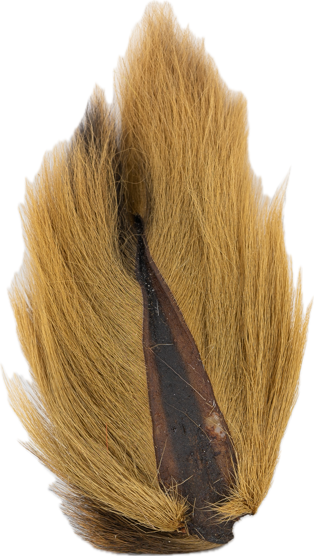 Appalachian Bucktail - AA
