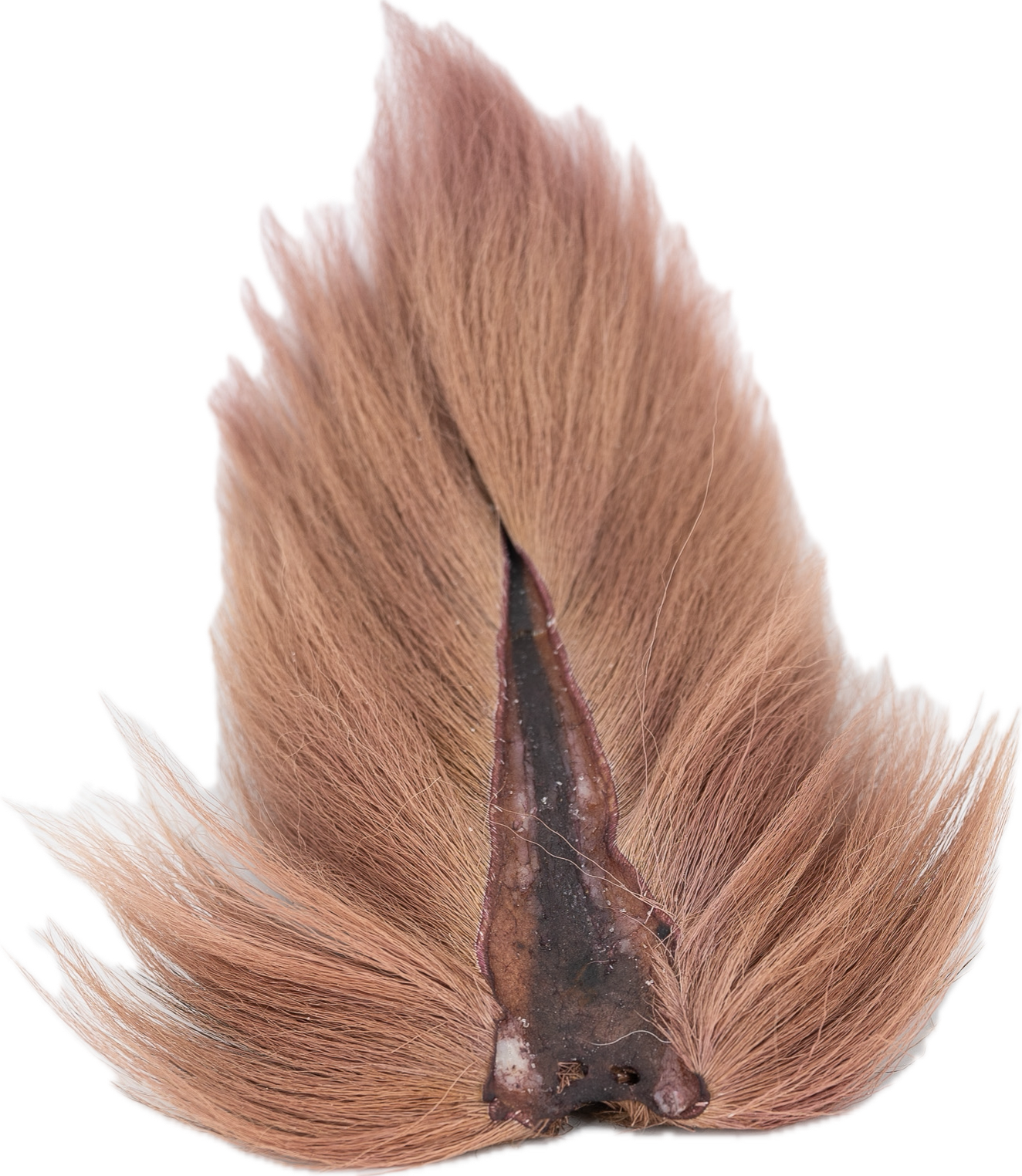 Appalachian Bucktail - AA